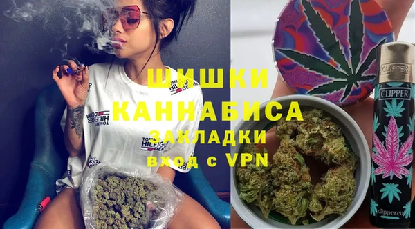 эйфоретик Алзамай