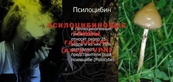 эйфоретик Алзамай