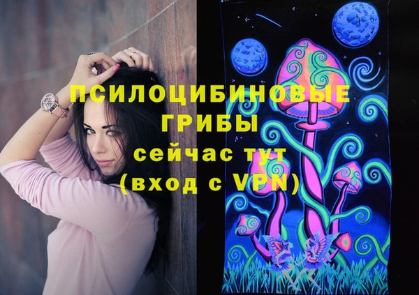 эйфоретик Алзамай