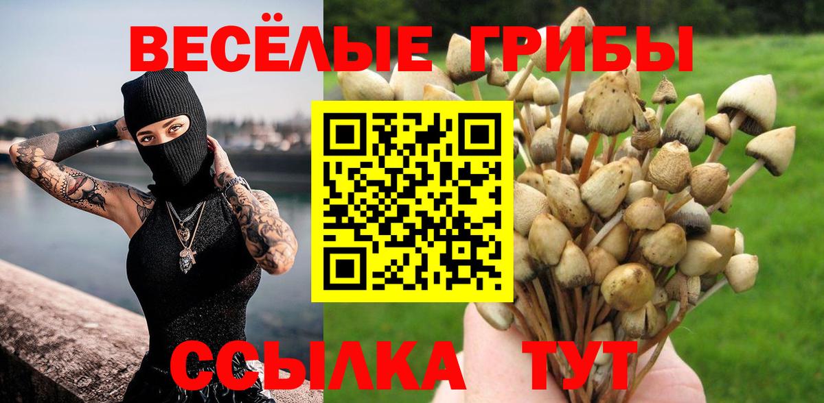 Галлюциногенные грибы MAGIC MUSHROOMS  Вход с VPN  Галлюциногенные грибы Psilocybe  Мыски 